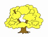 Árbol