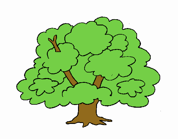 Árbol