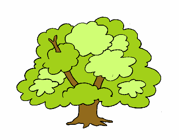 Árbol