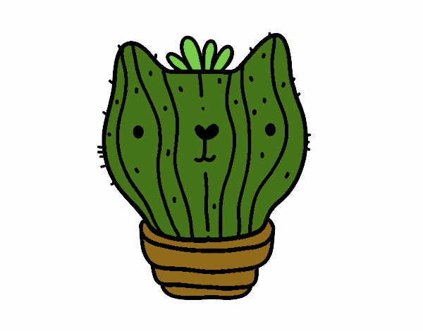 Cactus gato