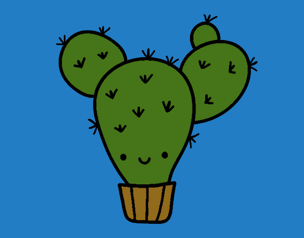 cactus.