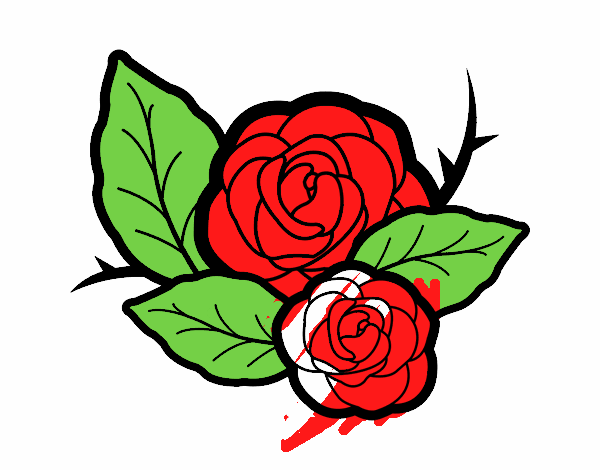 Dos rosas