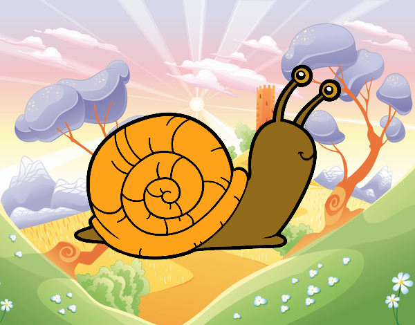 El caracol