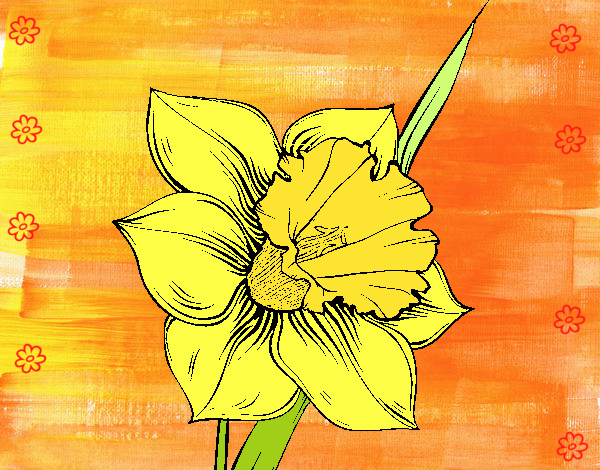 Flor de narciso