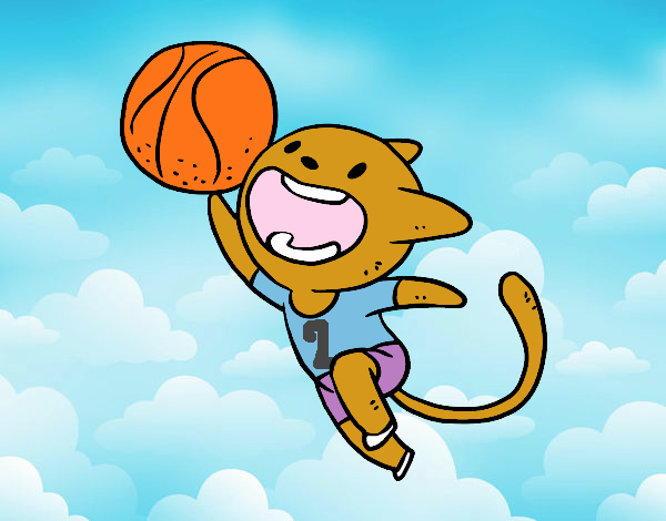 Gato jugando a baloncesto