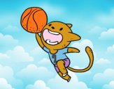 Gato jugando a baloncesto