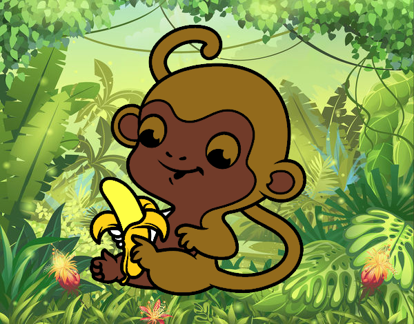El mono de la selva!