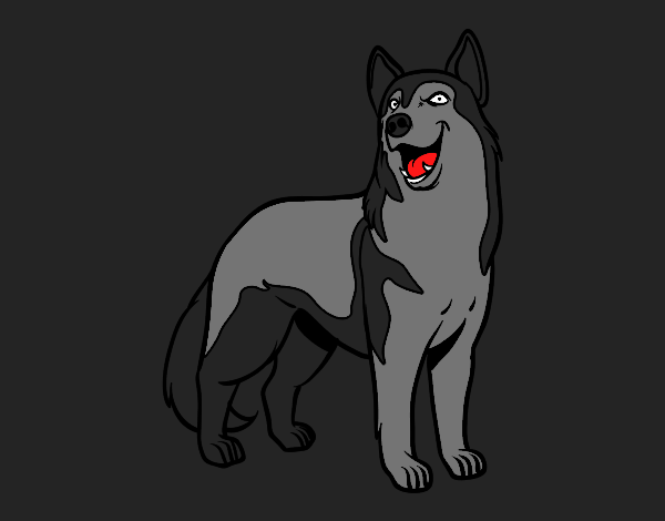 Perro lobo