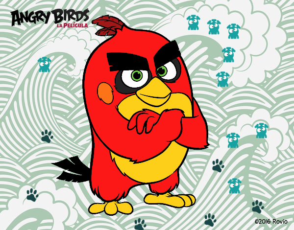 Red de Angry Birds