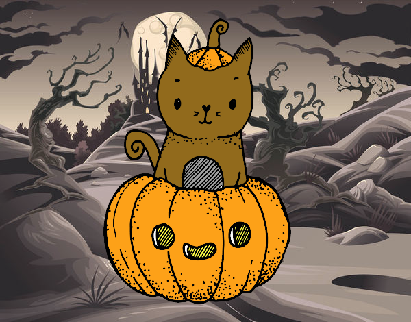 Un gatito de Halloween