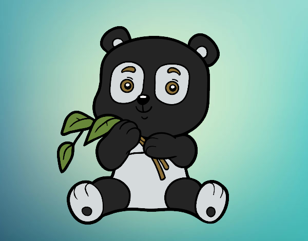 Un oso panda