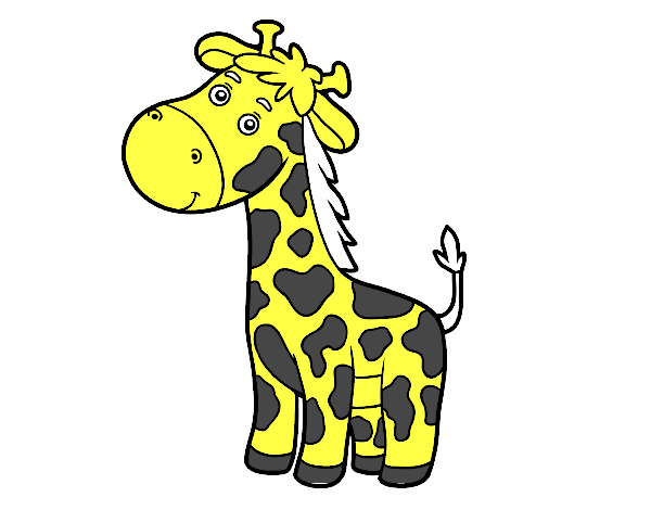 Una jirafa