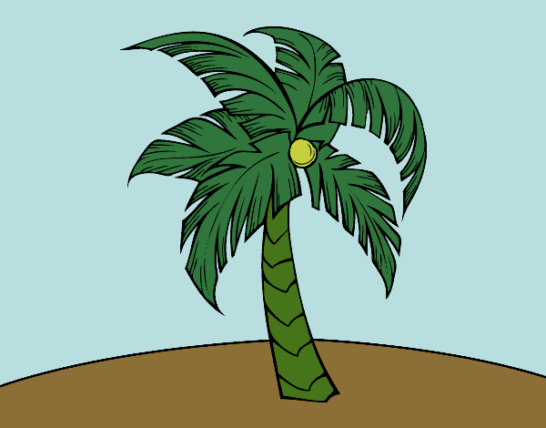 Una palmera