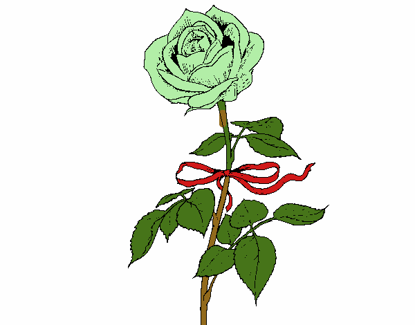 Una rosa