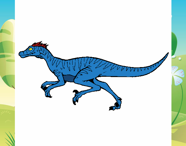 Velociraptor