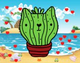 Cactus gato