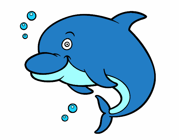 Delfín bufeo
