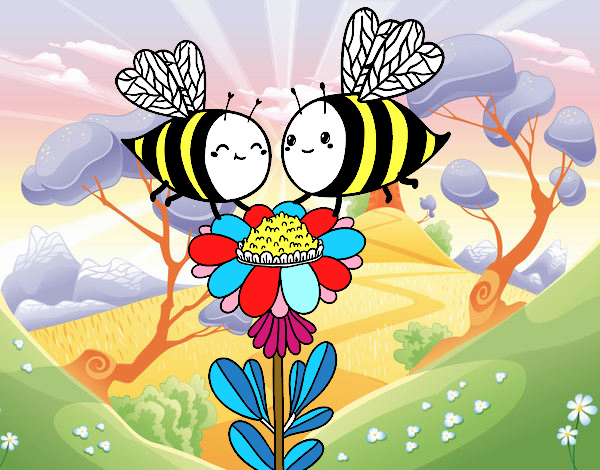 Pareja de abejas