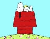 Snoopy durmiendo