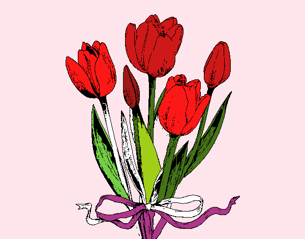 tulipanes