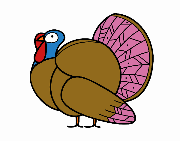 Un pavo