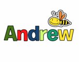 Andrew