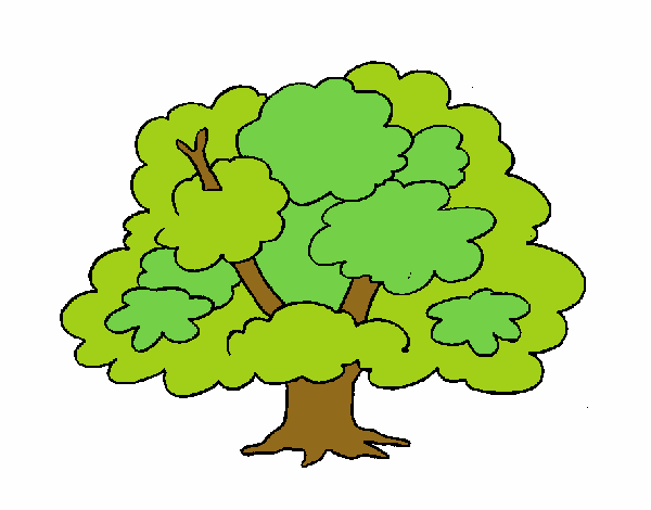 Dibujo de Árbol pintado por en Dibujos.net el día 27-05-18 a las 22:02: