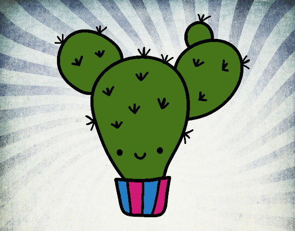 Cactus nopal