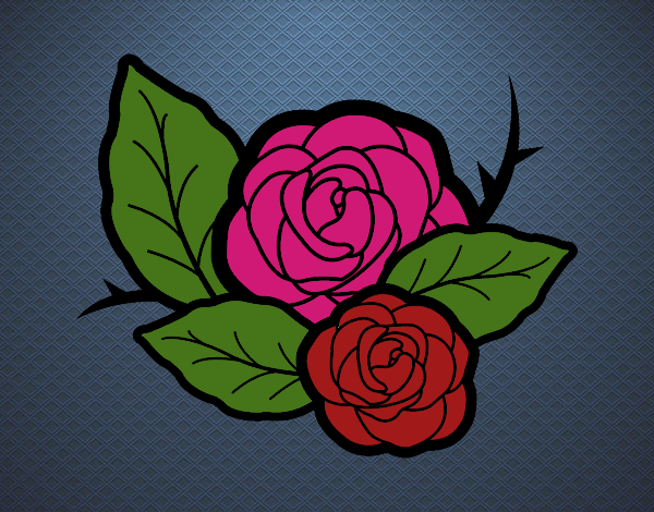 Dos rosas