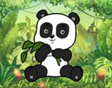 Un oso panda