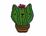 Cactus gato