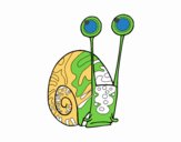 Caracol común