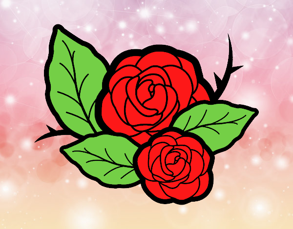 Dos rosas