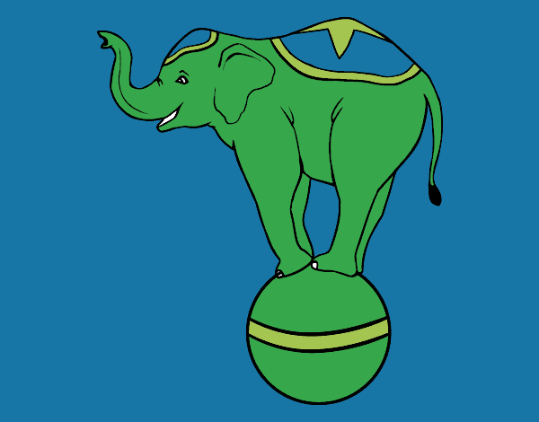 Elefante equilibrista