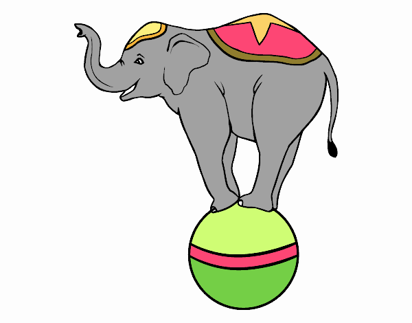 Elefante equilibrista