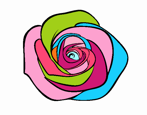 Flor de rosa