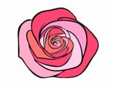 Flor de rosa