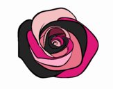 Flor de rosa