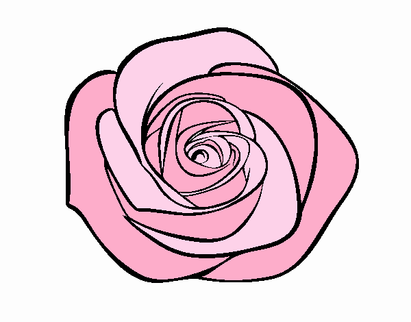 Dibujo de Flor de rosa pintado por en  el día 31-05-18 a las  01:13:57. Imprime, pinta o colorea tus propios dibujos!