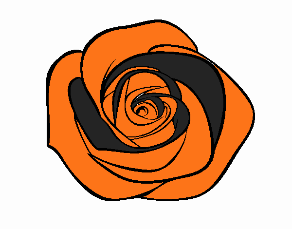 Flor de rosa