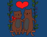 Gatitos enamorados