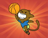 Gato jugando a baloncesto