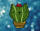 Cactus gato