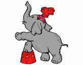 Elefante