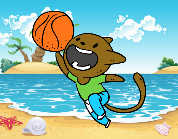 Gato jugando a baloncesto