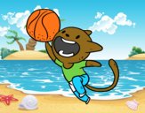 Gato jugando a baloncesto