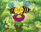 Pareja de abejas