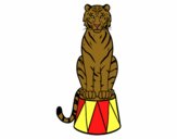 Tigre de circo