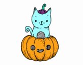 Un gatito de Halloween