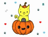 Un gatito de Halloween